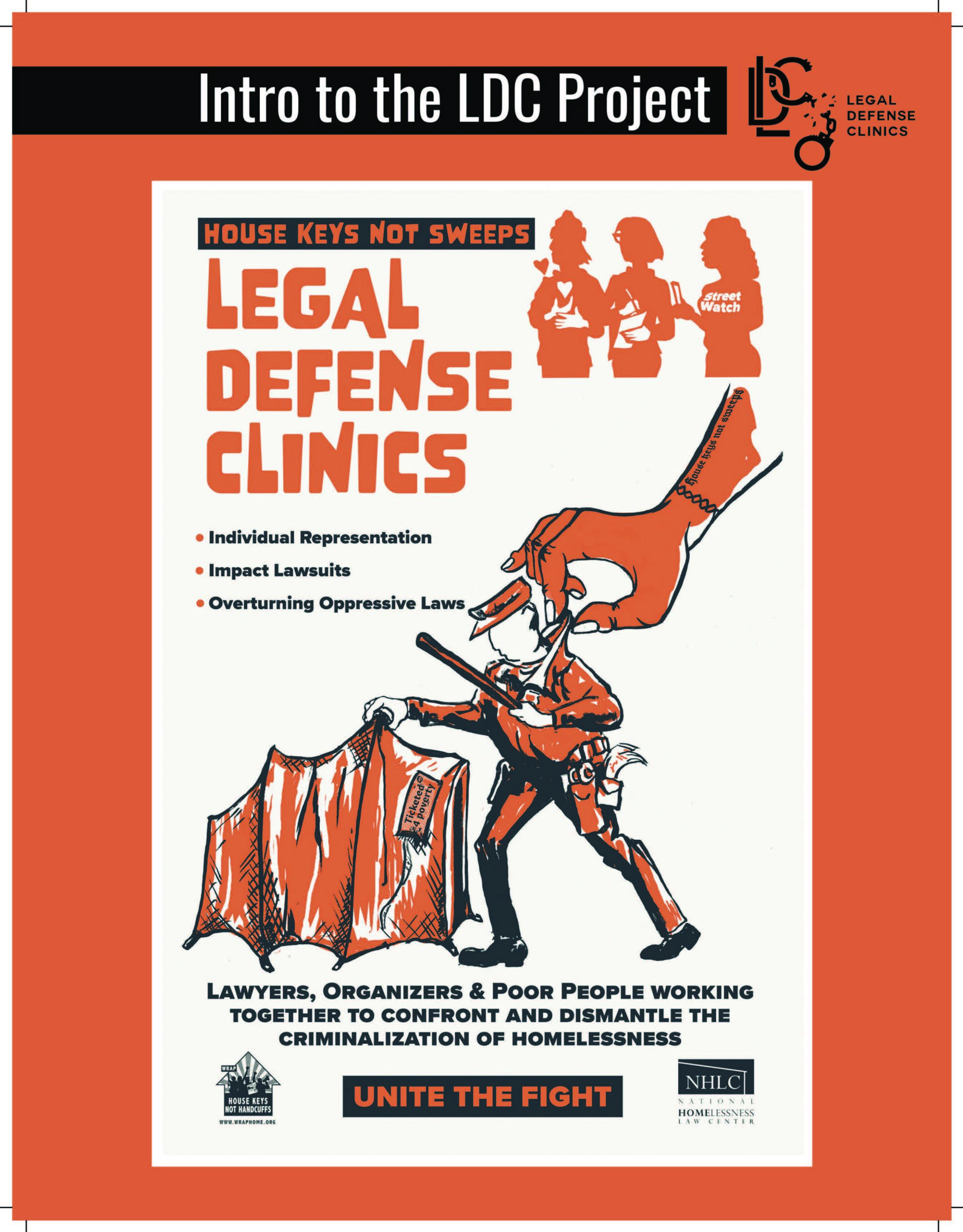 Legal Defense Clinics Summary Report